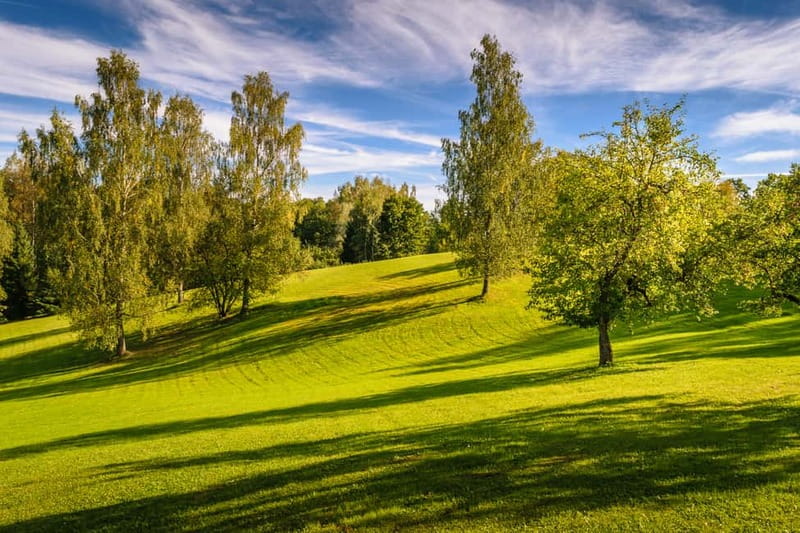 Sigulda Day Tour - Castle Ruins, Gūtmaņala Grotto, & More - Weather, walking, and the real pace of the day