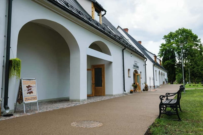 Sigulda Day Tour - Castle Ruins, Gūtmaņala Grotto, & More - The aerial cableway above Sigulda