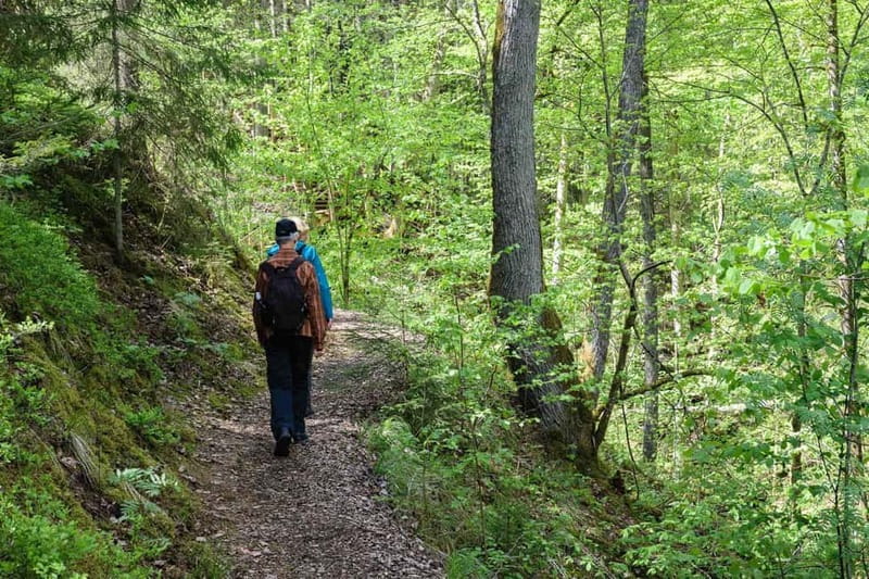 Sigulda Hiking Tour: A Day in the Switzerland of Latvia - Why Sigulda makes a good day outside Riga