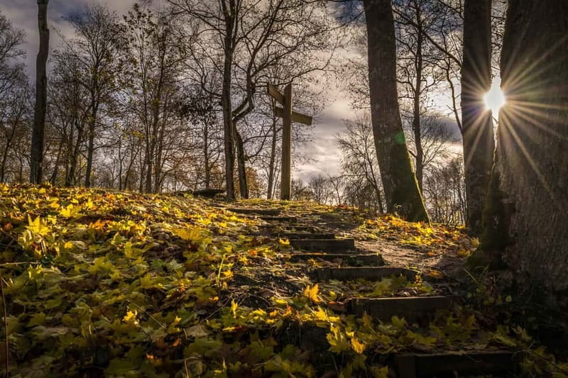 Sigulda Hiking Tour: A Day in the Switzerland of Latvia - Who should book this hike?