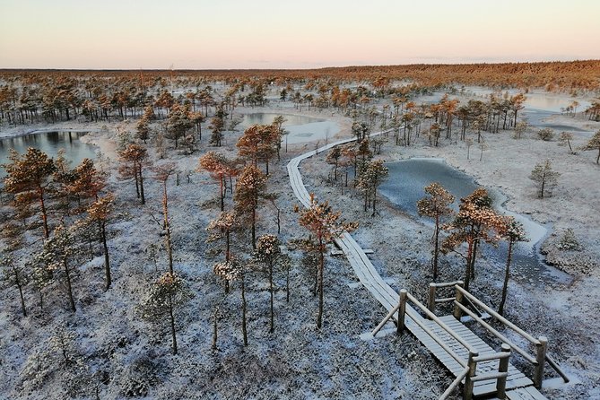 Sunrise at Kemeri National park + Jurmala - Why the early start is worth considering