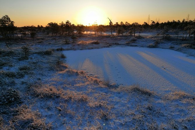 Sunrise at Kemeri National park + Jurmala - A Baltic swim in summer