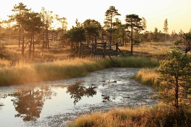 Sunrise at Kemeri National Park - Small Group - Why sunrise changes Kemeri National Park
