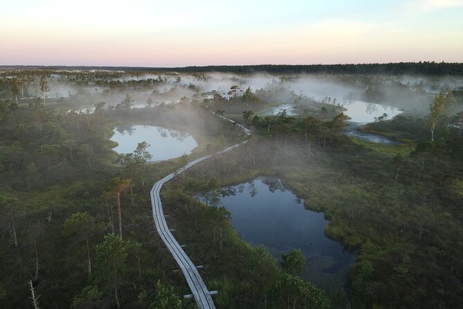 Sunrise at Kemeri National Park - Small Group - Price and what the $57.67 covers
