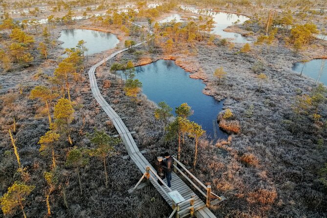 Sunrise at Kemeri National Park - Small Group - Weather, clothing, and the early-hour reality
