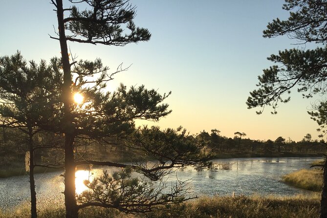Sunrise at Kemeri National Park - Small Group - A private feel without a large tour crowd