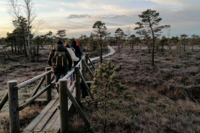 Sunset at Kemeri National Park