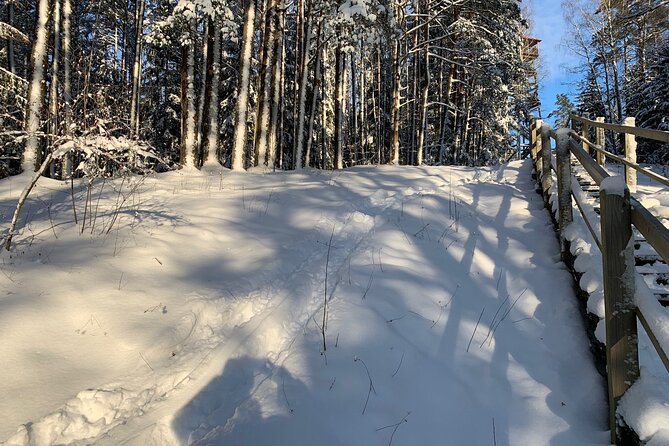 Ultimate Husky dog sledding experience in Latvia - Private tour from Riga - Who will enjoy this private husky tour